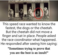 Sometime trying to prove that you are the best is an insult